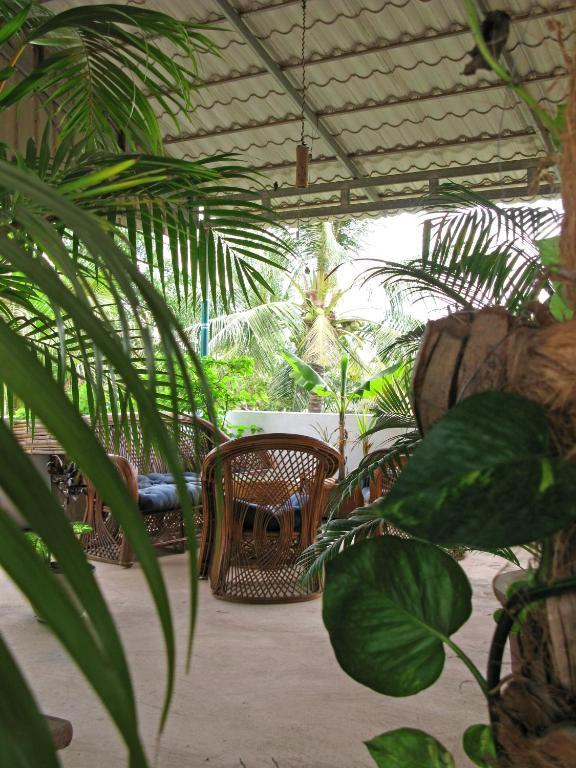 Firefly Guesthouse - The Berlin Angkor Sziemreap Kültér fotó